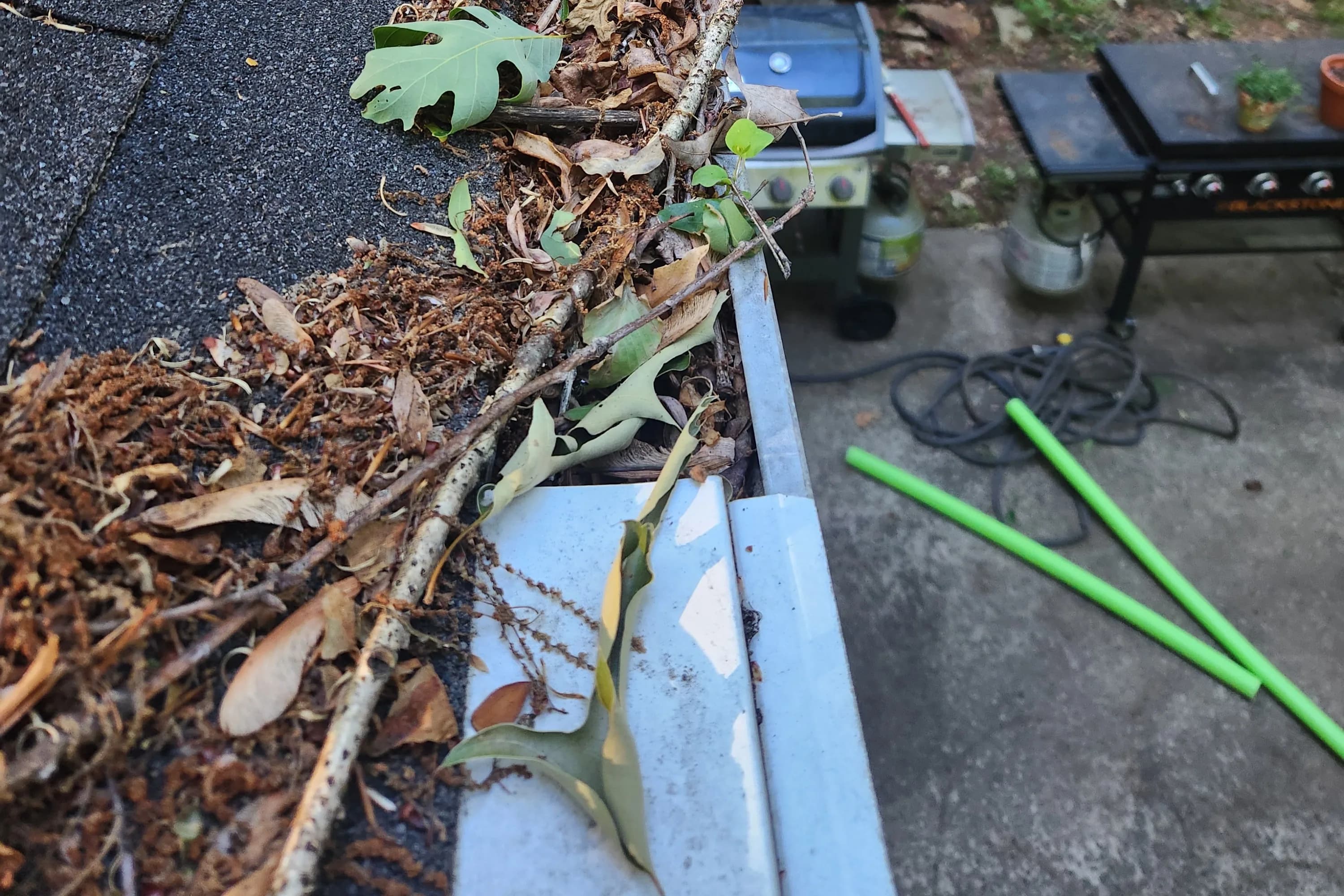 Gutter on an Alamance County NC home overloaded with sticks, leaves, and plants growing through the debris, with white plastic guard panels still clipped to the gutter lip
