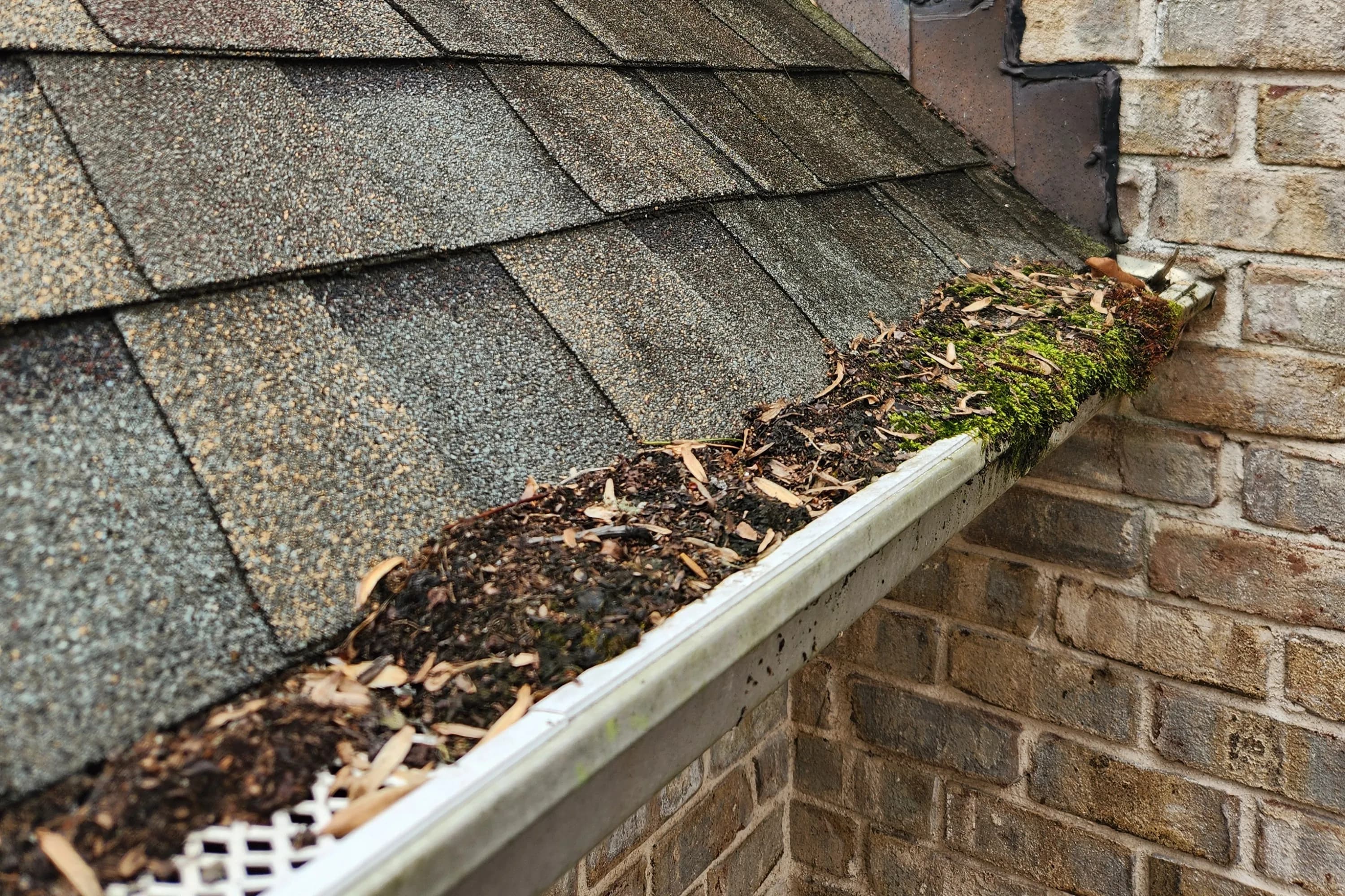 Debris and moss packed into a white plastic gutter guard on a brick home in Alamance County NC, showing decomposed material filling the gutter channel despite the guard being in place