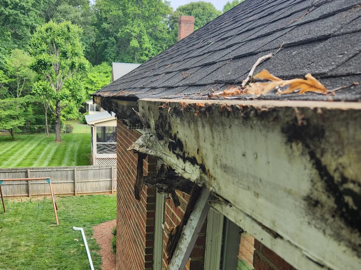 Rotten fascia board showing deterioration and water damage from failed gutter system