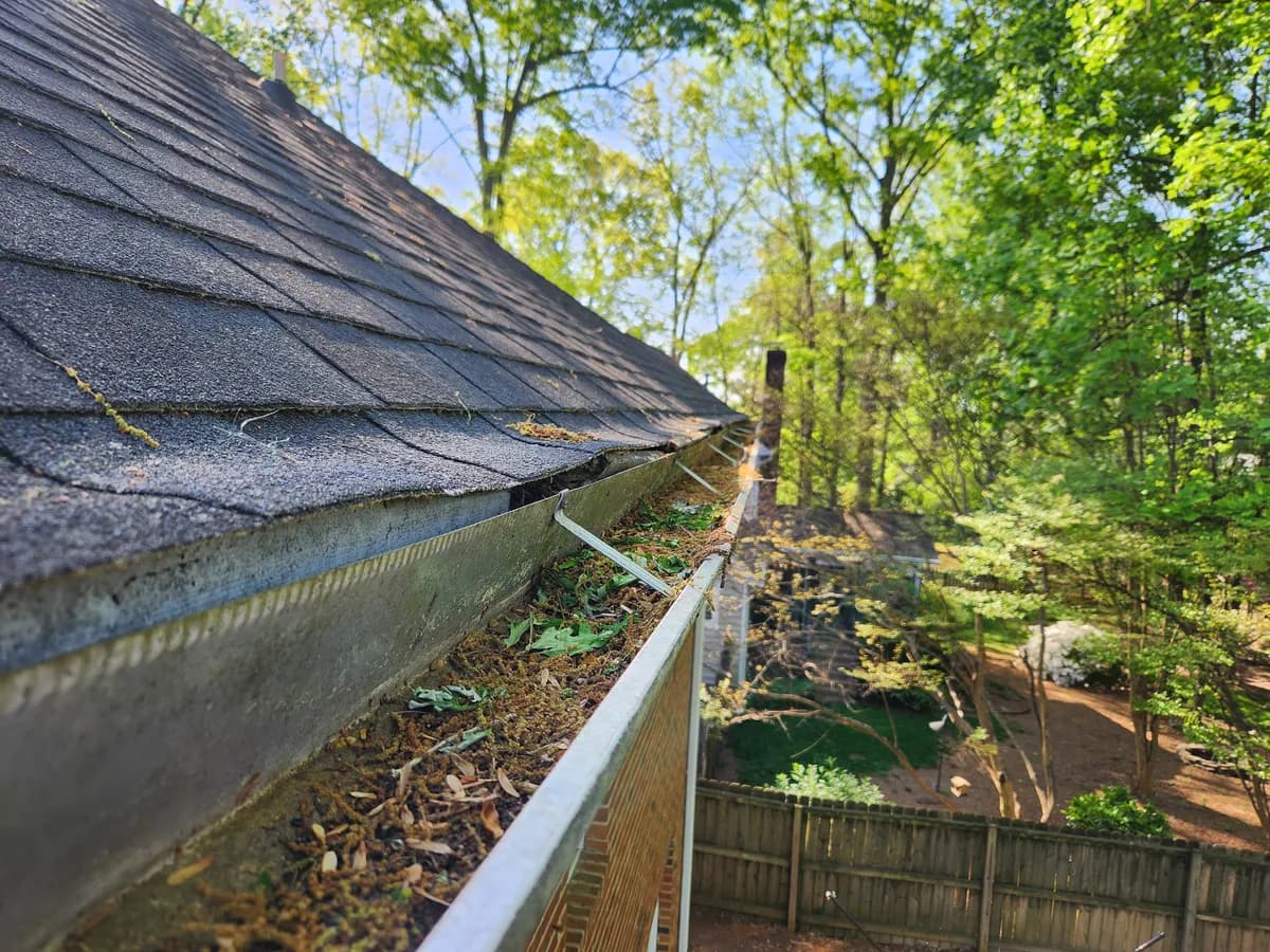Gutter pulling away from fascia, filled with debris and leaf litter