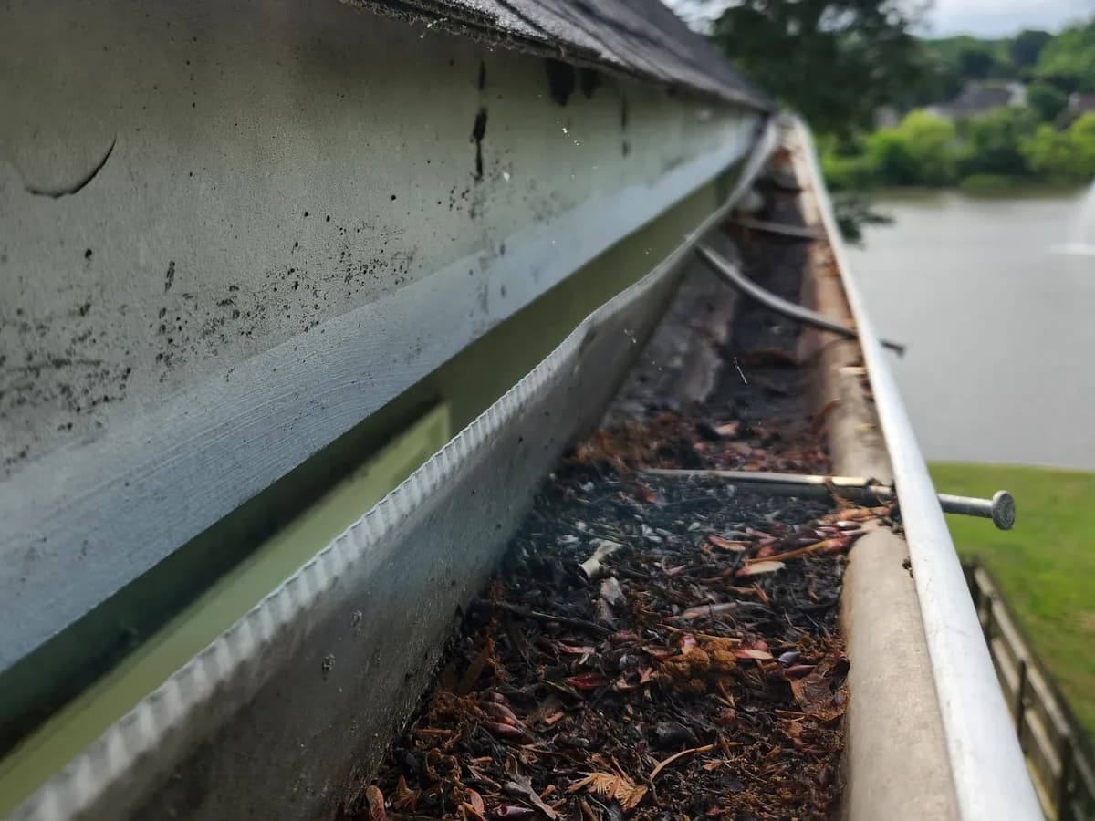Sagging gutter pulling away from fascia board and roof line, showing visible gap and improper pitch