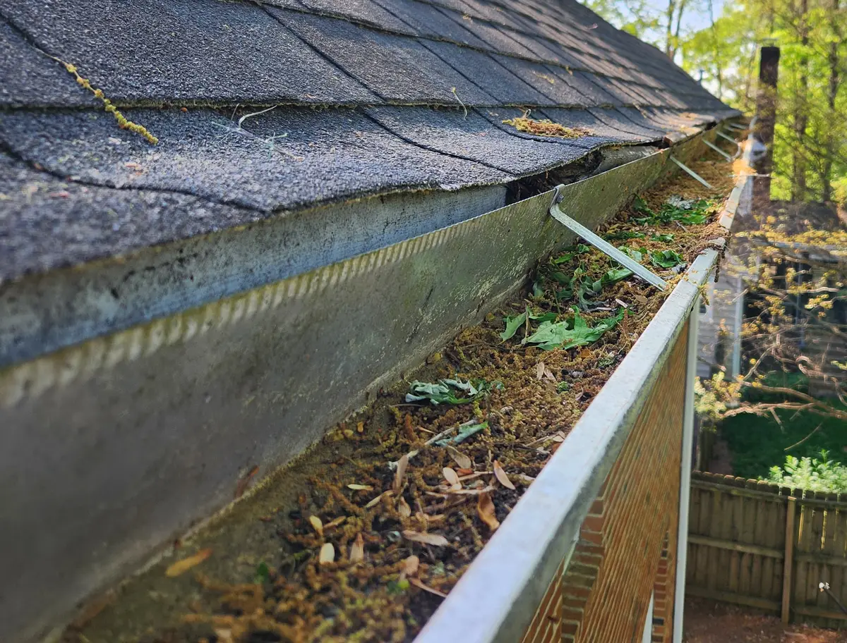 Gutter packed with moss, matted leaves, and seed debris on an Alamance County NC home, cleared during a Freedom Gutters cleanout