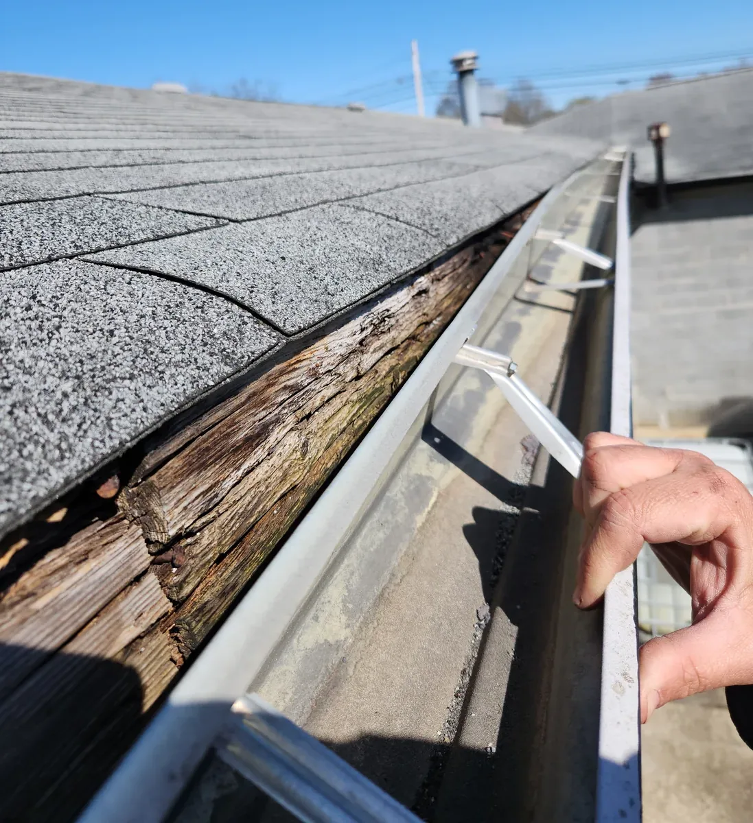 Rotted fascia board exposed behind a pulled-back gutter in Alamance County, NC