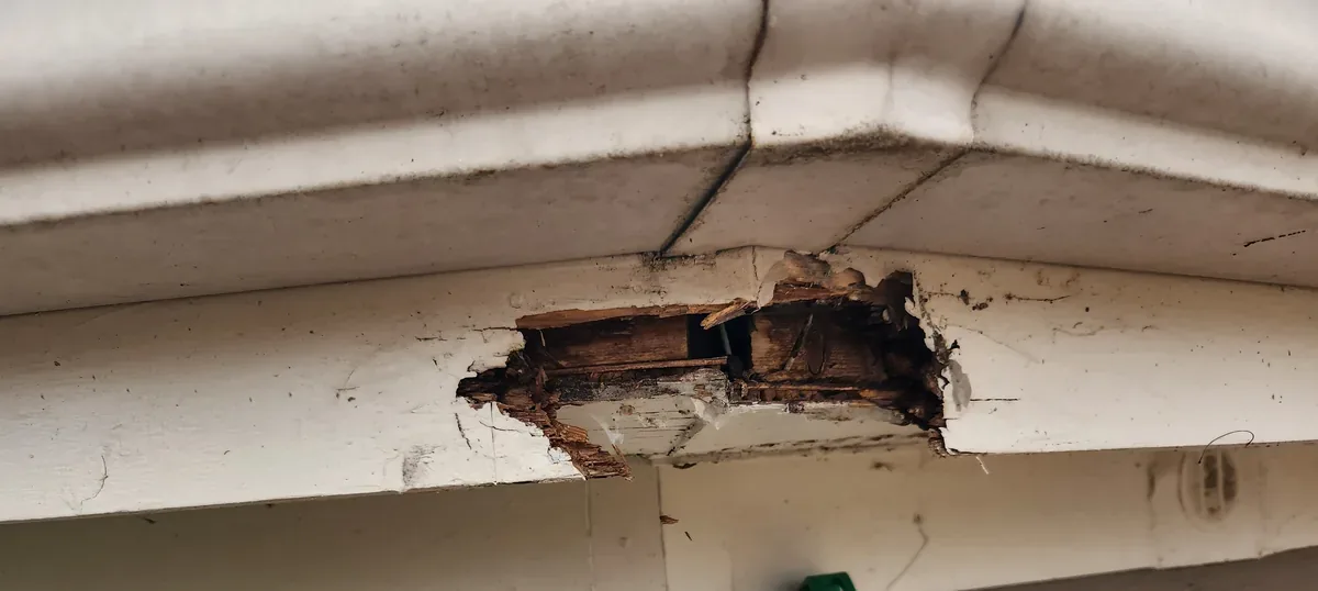 Rotted fascia and collapsed soffit at a corner roofline in Alamance County, NC